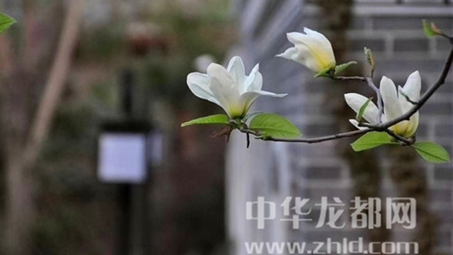 淮陽(yáng)蓮舍，多了一份味道
