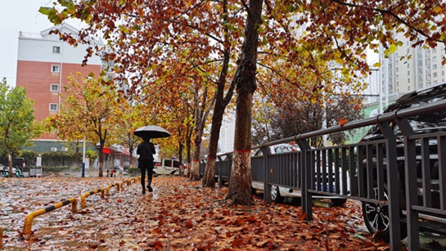 雨中周口，別有一番韻味